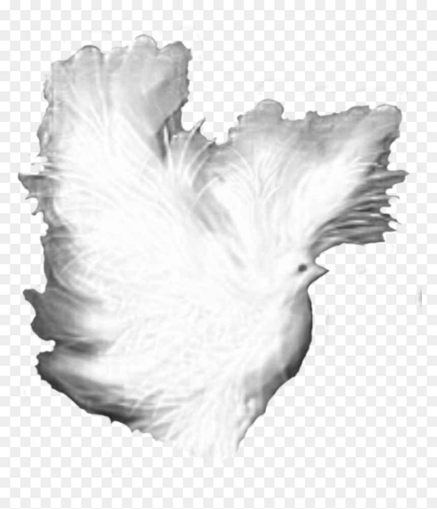 Dove Fantasy White Shadows Clip Arts - Portable Network Graphics, HD Png Download - white dove png