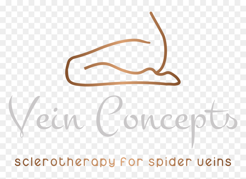 Color Logo Transparent14, HD Png Download - veins png