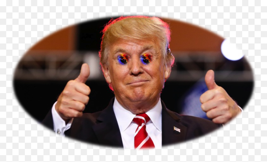 Donald Trump Bravo, HD Png Download - donald trump full body png