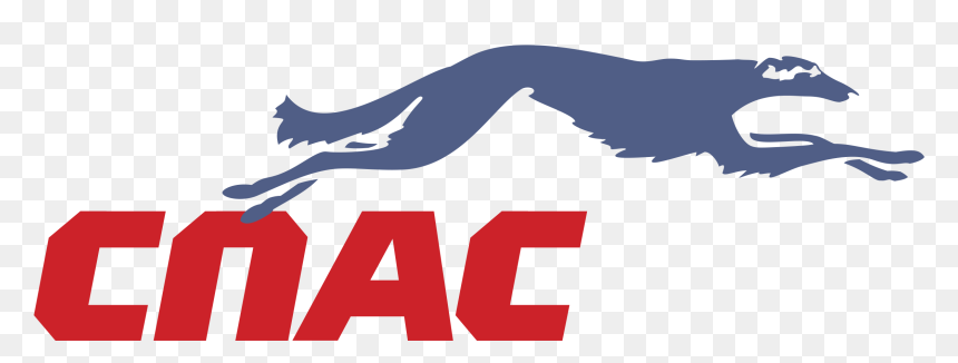 Graphic Design, HD Png Download - puma logo png