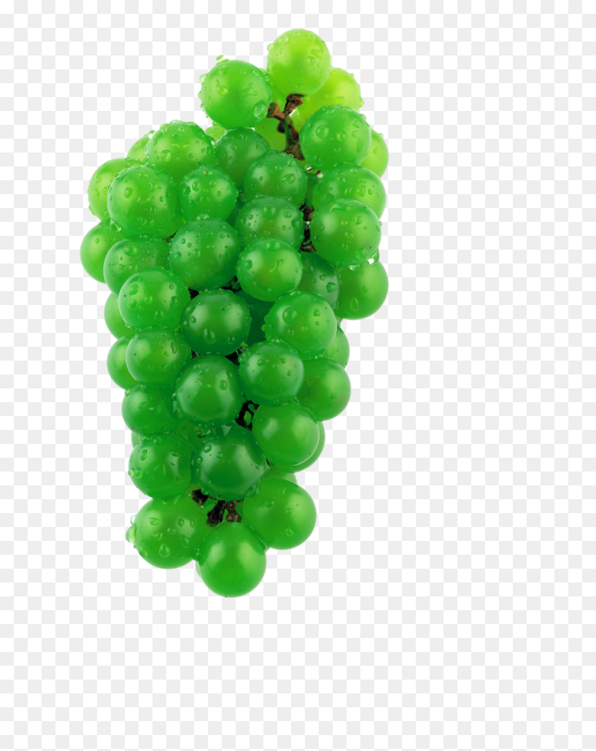 Виноград Фото, HD Png Download - grape vine png