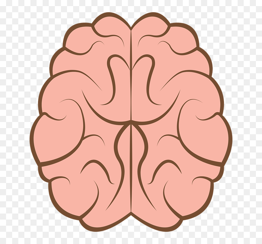 Psychology, HD Png Download - psychology png