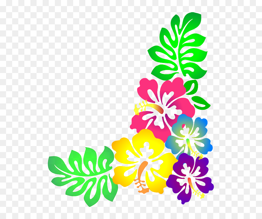 ← Hawaiian Flower - Flower Picture Of Design, HD Png Download - hawaiian flower png