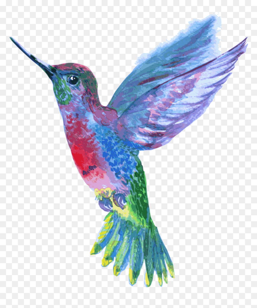 Hummingbird Png, Transparent Png - hummingbird png