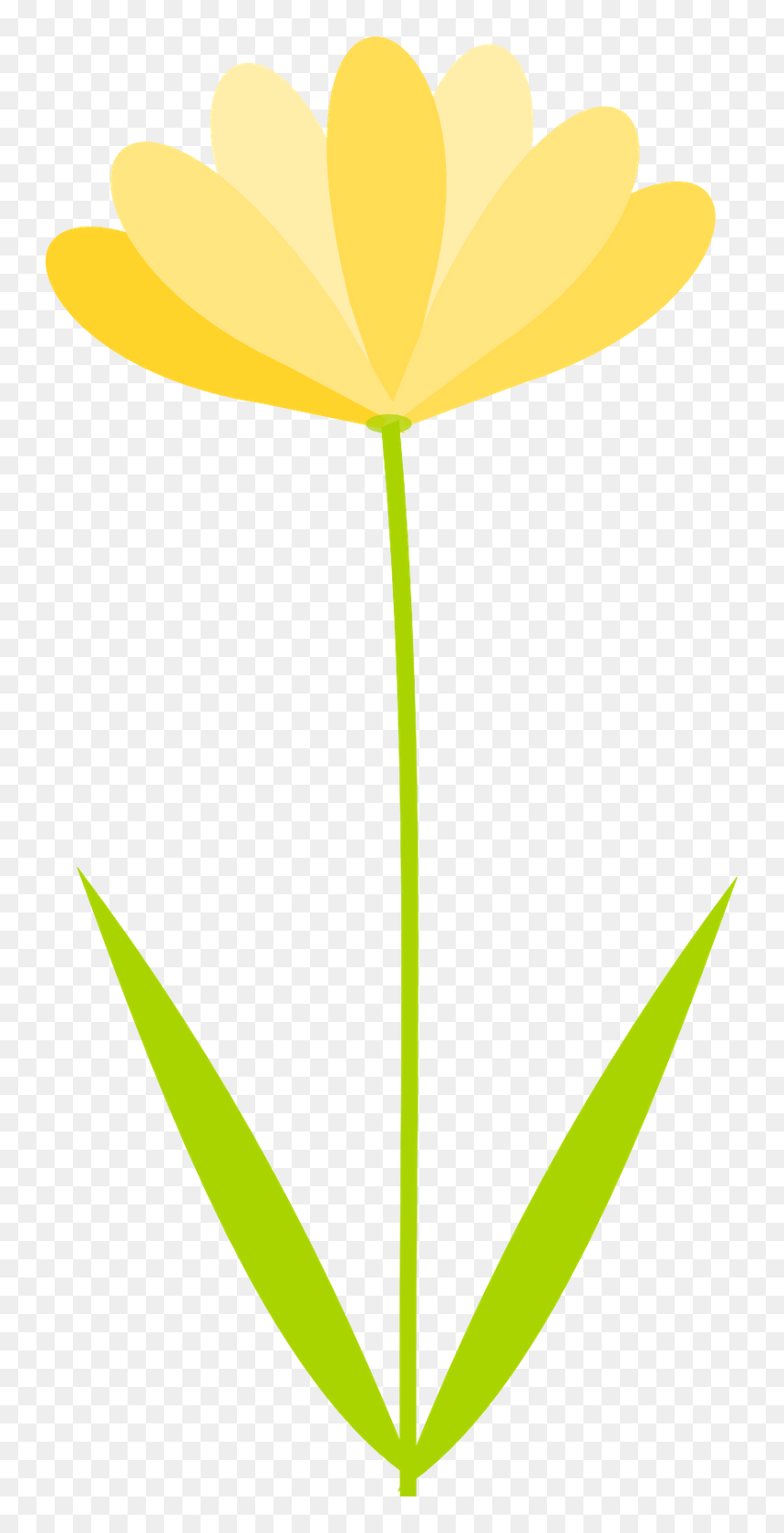 Flower Transparent Background Clipart Clip Art Library - Flower Clipart No Background, HD Png Download - no transparent png