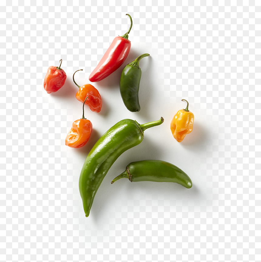 Transparent Habanero Pepper Clipart - Bird's Eye Chili, HD Png Download - chili png