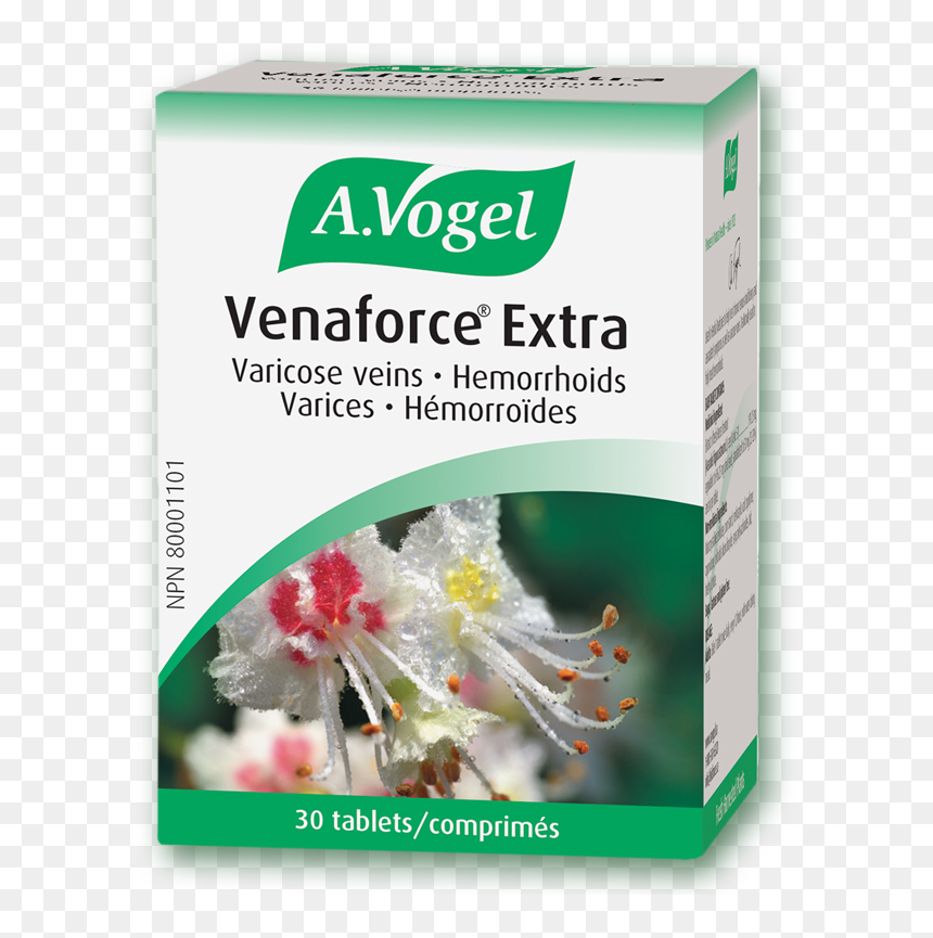 Vogel Venaforce® Extra - Vogel Venaforce Extra, HD Png Download - veins png