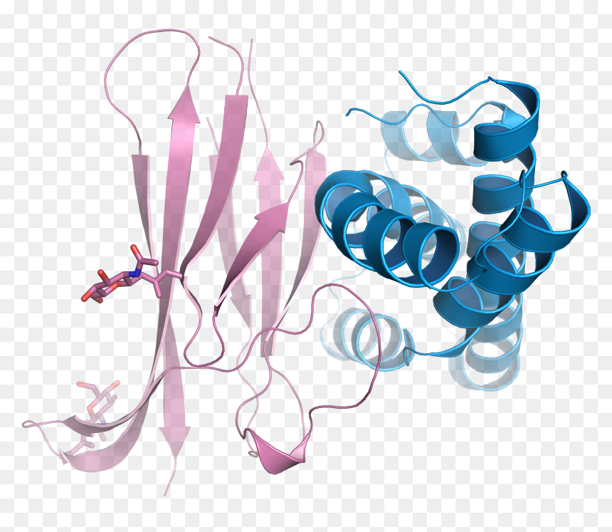 Crystal Structure Of The Complex Between A Domain Repeat - Clip Art, HD Png Download - crystal reed png