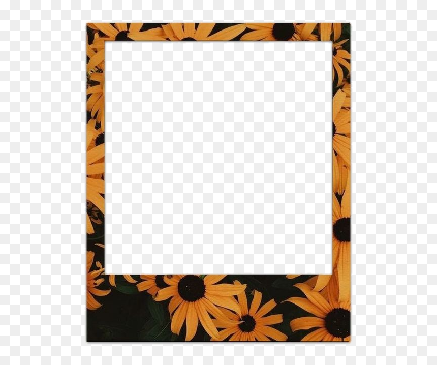 Polaroid Frame Png Hd, Transparent Png - polaroid picture png
