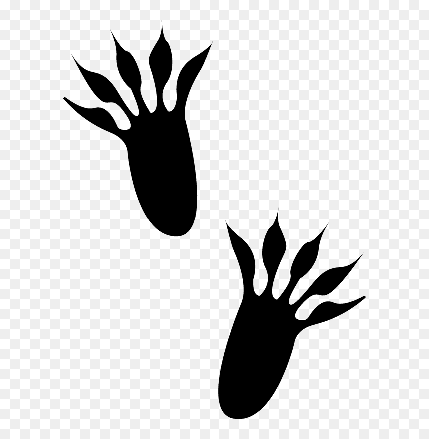Rubber Stamp Animal Track Stamps Stamptopia - Squirrel Paw Track Clipart, HD Png Download - tire tracks png