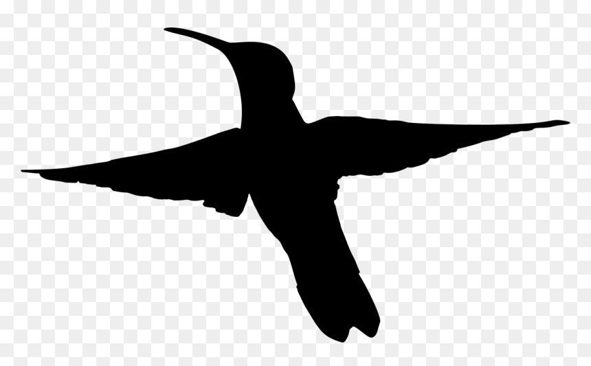 Humming Bird Flying Silhouette, HD Png Download - hummingbird png