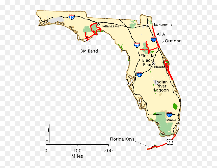 Atlas, HD Png Download - florida map png