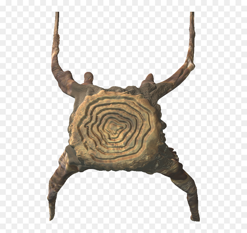 Top View Tree - Wood, HD Png Download - tree top view png