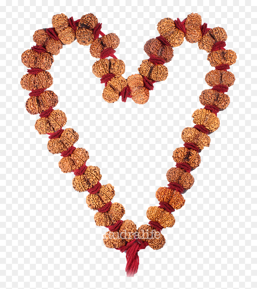 Gauri Shankar Rudraksha Kantha Rudraksha - Necklace, HD Png Download - rudraksha mala png