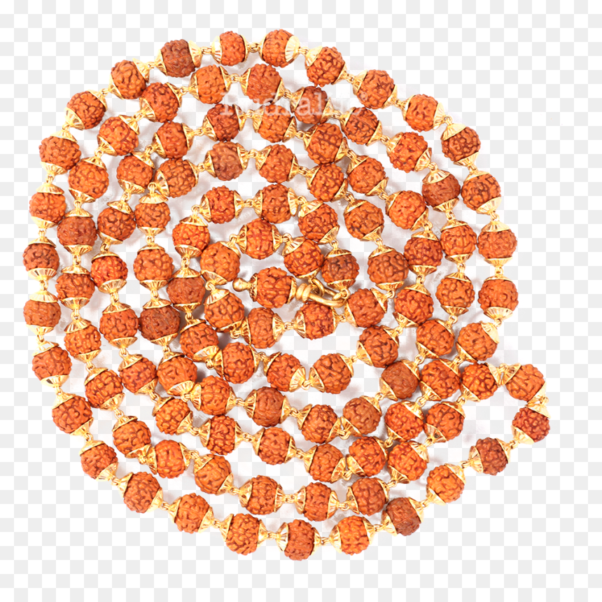 5 Mukhi Rudraksha Gold Mala Rudraksha - Jantes Htn, HD Png Download - rudraksha mala png