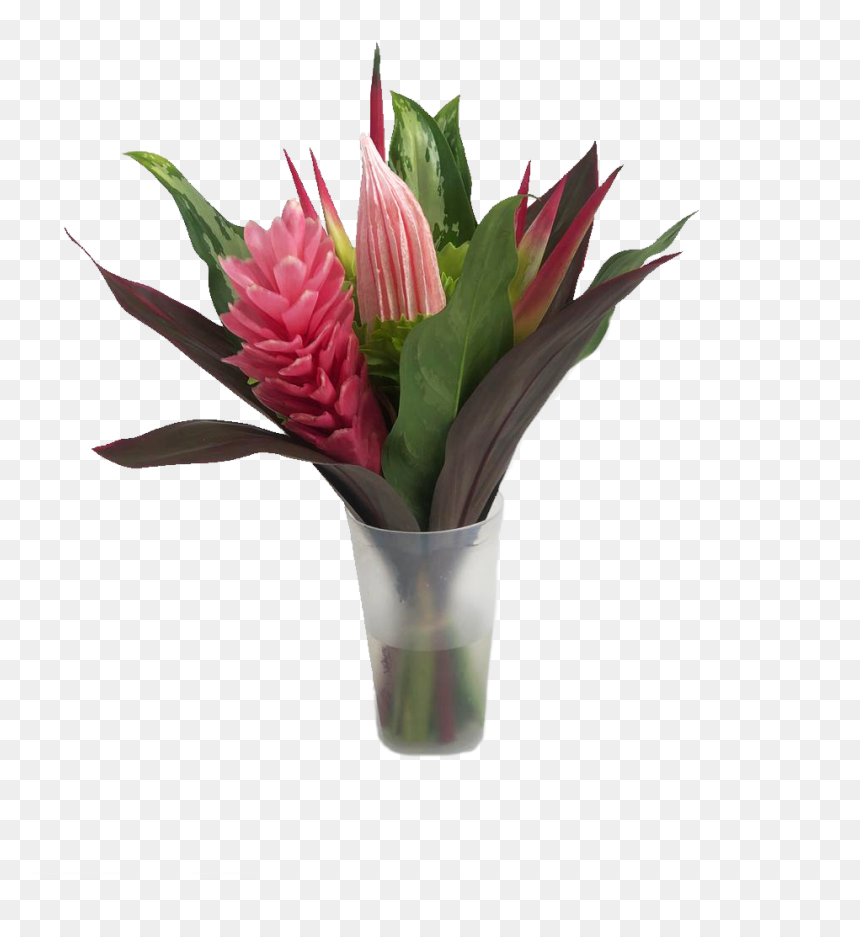 Fun Miracle Mini Tropical Centerpieces - Giant Protea, HD Png Download - tropical flowers png