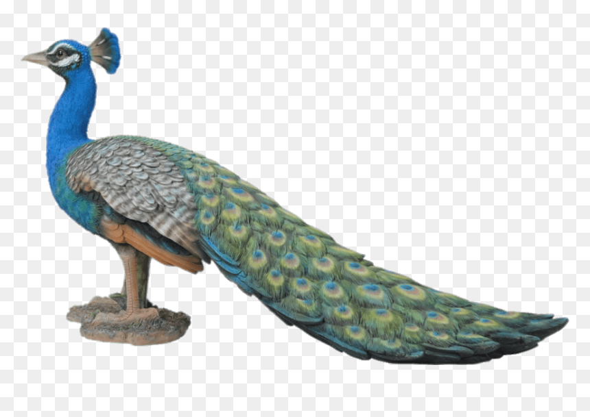 Peacock Garden Ornament, HD Png Download - peacock png