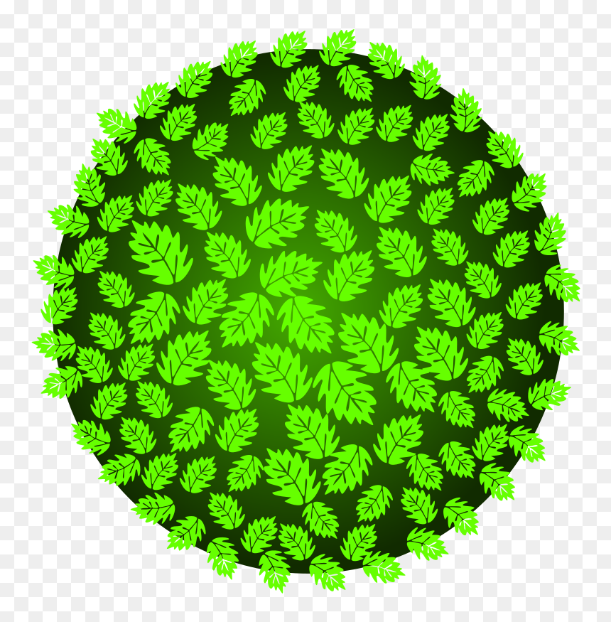 Tree-39a1 - Polishing Pads 30 Grit, HD Png Download - tree top view png