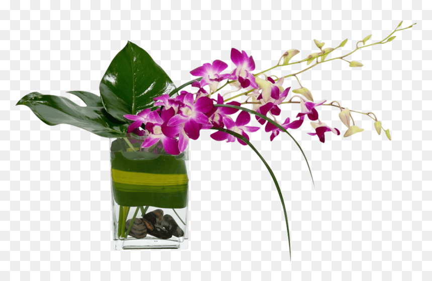 Transparent Tropical Flowers Png - Floral Design, Png Download - tropical flowers png
