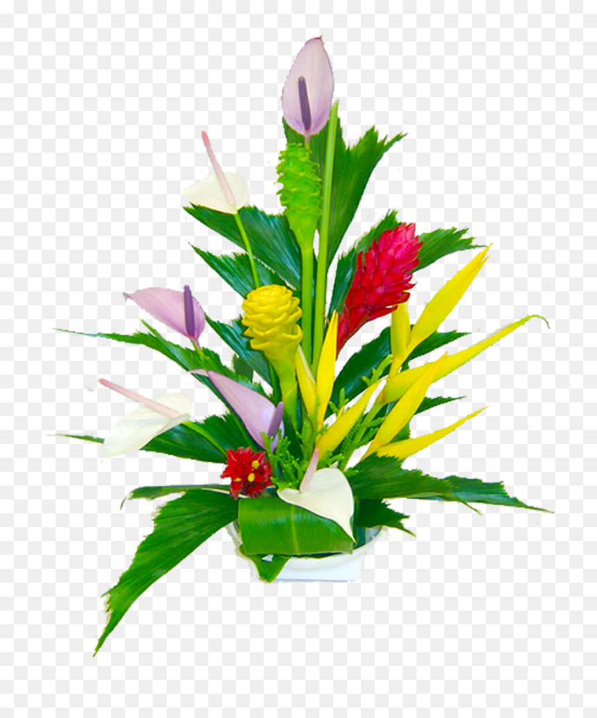 April Fool In Telugu, HD Png Download - tropical flowers png