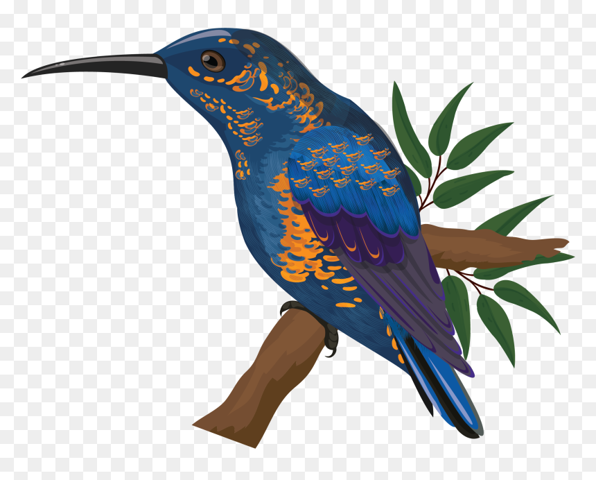 Colorful Flying Birds Png, Transparent Png - colorful flying birds png