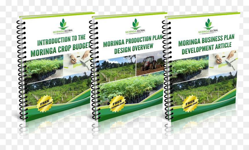 Flyer, HD Png Download - tree plan png free download