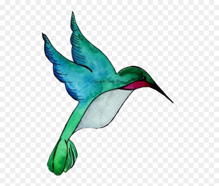 Humming Bird Png, Transparent Png - hummingbird png