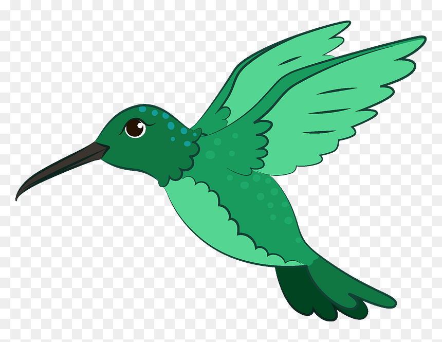 Hummingbird Clipart, HD Png Download - hummingbird png