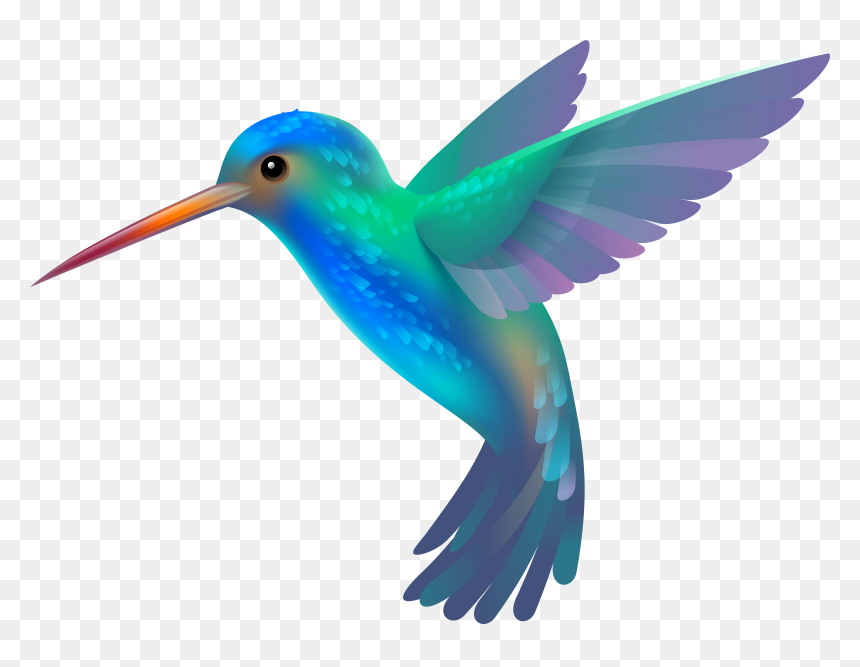 Image Detail For -colorful Hu - Hummingbird Clipart, HD Png Download - colorful flying birds png