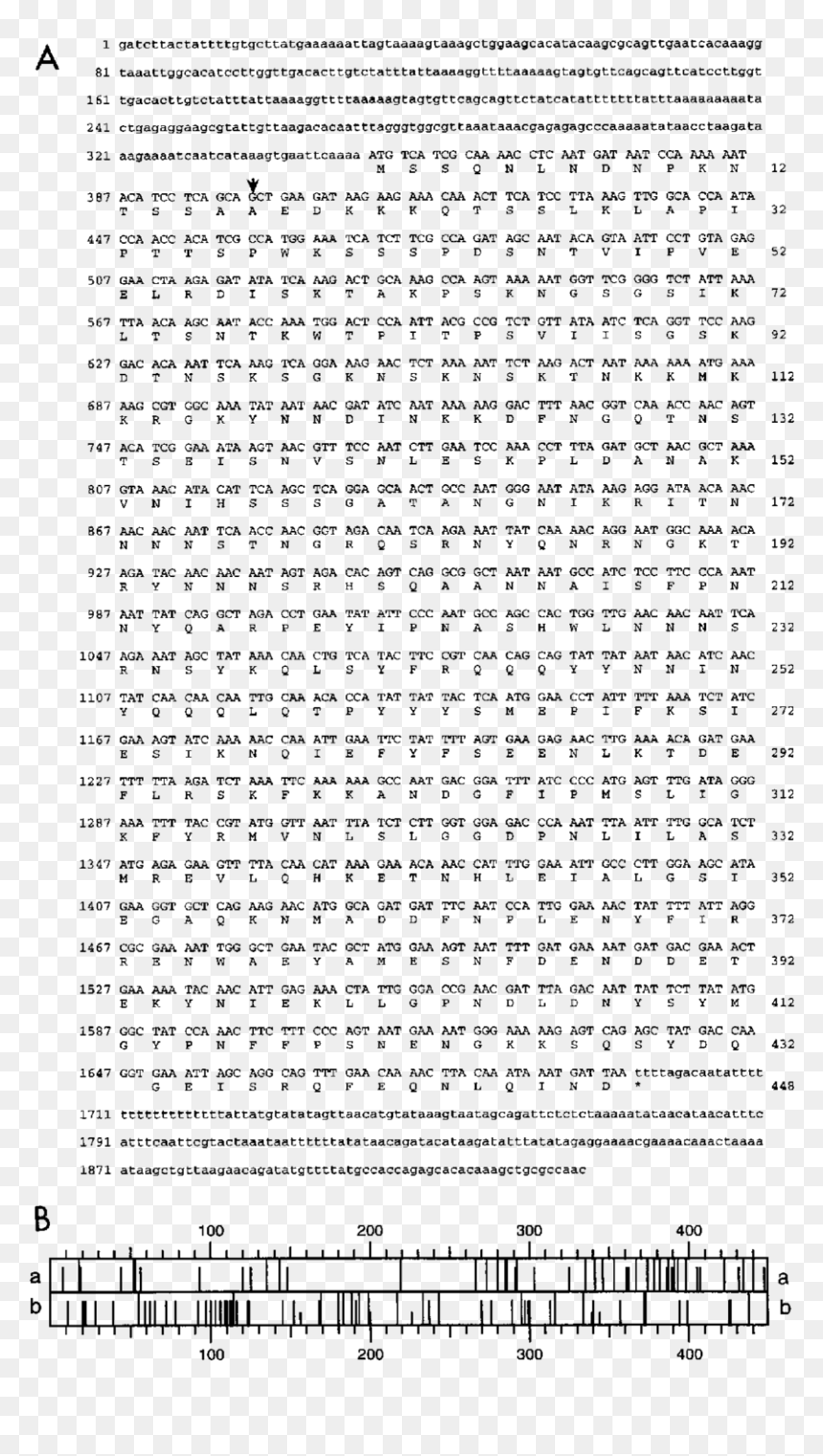 Document, HD Png Download - arrow marks png