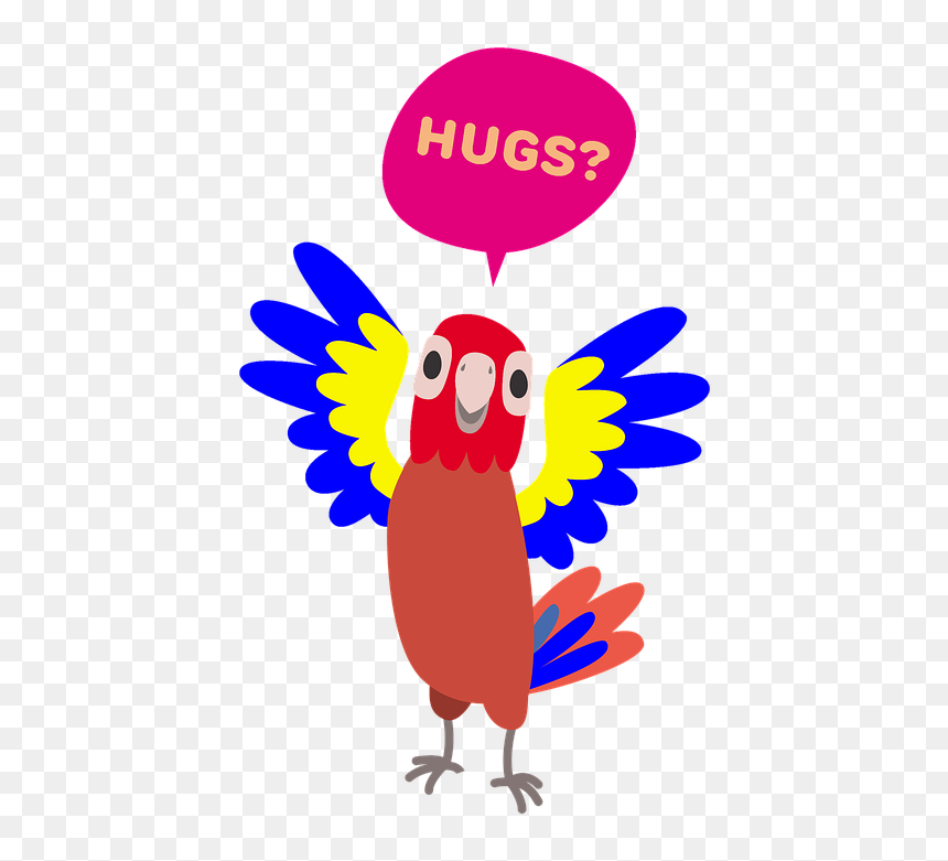 Parrots, HD Png Download - colorful flying birds png