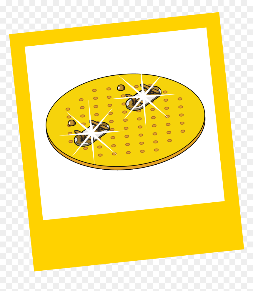 Circle , Png Download - Circle, Transparent Png - glowing bulb png