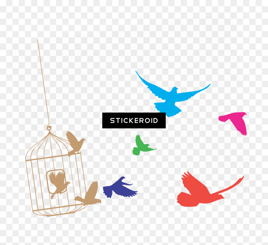 Transparent Cage Png - Bird Cage Clipart Png, Png Download - colorful flying birds png