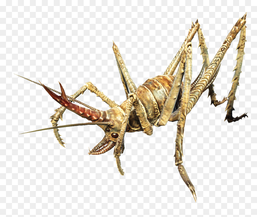 Nukapedia The Vault - D&d Cave Cricket, HD Png Download - cricket png images