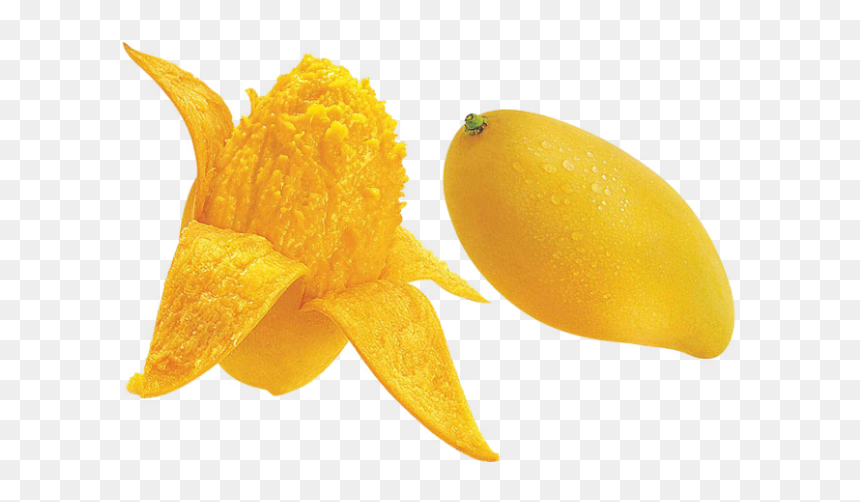 Mango Seed Png, Transparent Png - mango vector png