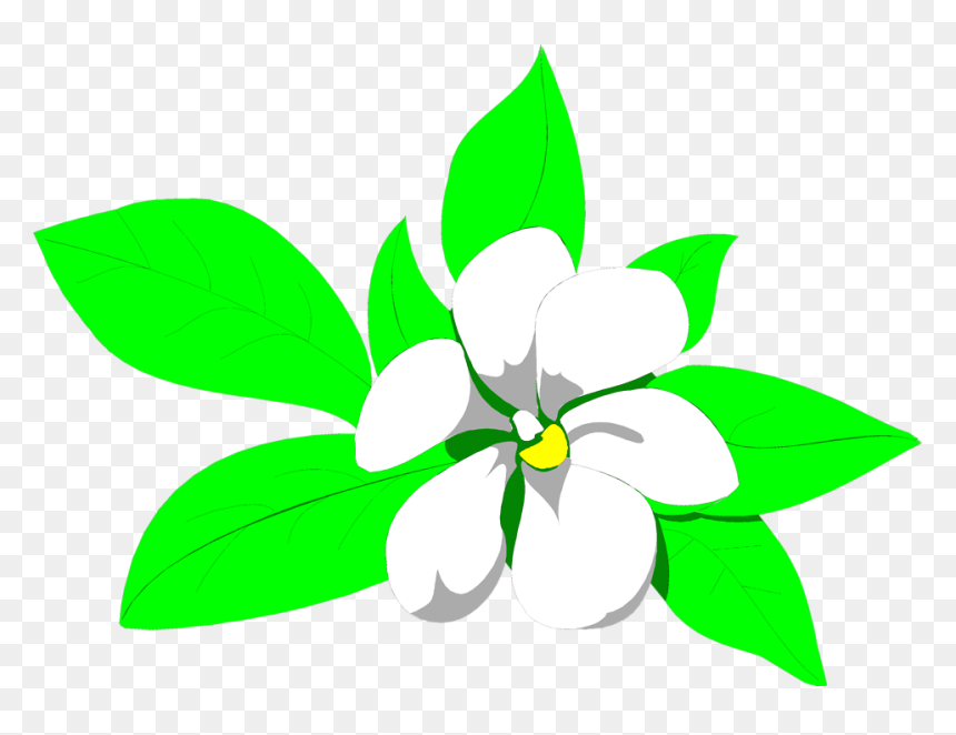 Sampaguita Drawing At Getdrawings - Sampaguita Clipart, HD Png Download - mogra png
