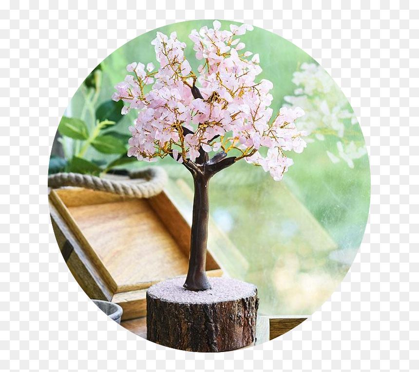 Cherry Blossom, HD Png Download - sherawali mata png