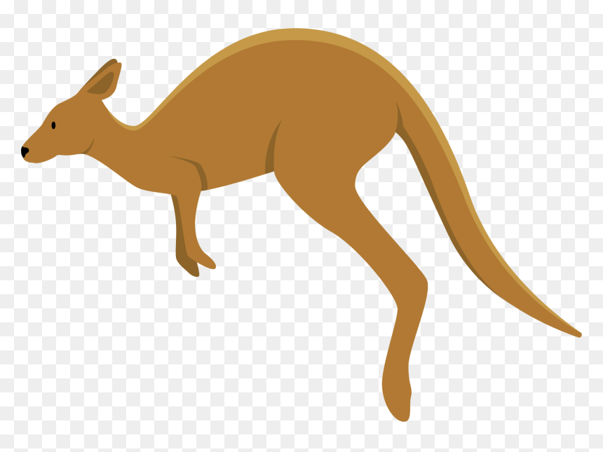 Kangaroo Png Transparent Quality Images - Transparent Transparent Background Kangaroo Clipart, Png Download - kangaroo png