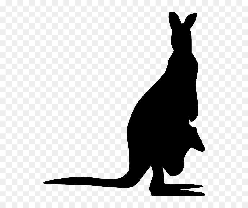 Free Images On Pixabay - Kangaroo Silhouette, HD Png Download - kangaroo png