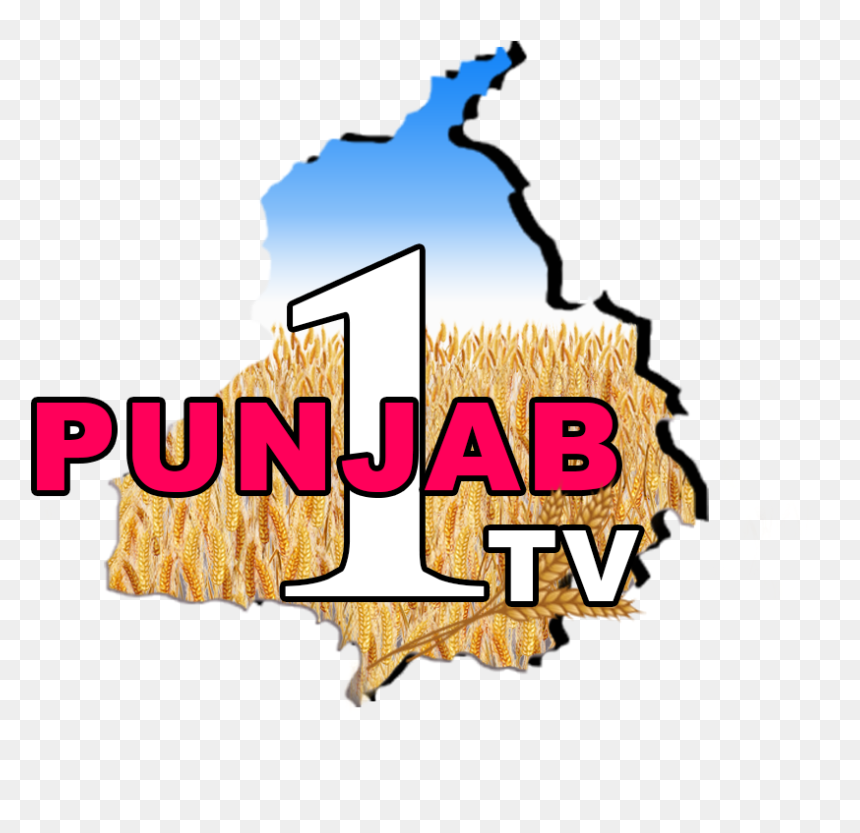 Graphic Design, HD Png Download - punjabi turban png