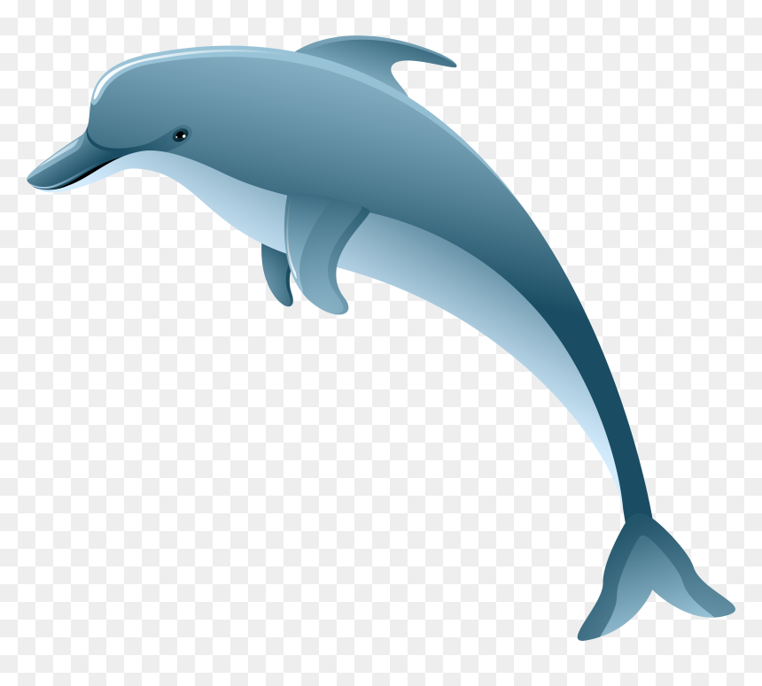 Dolphin Clip Art, HD Png Download - dolphins png