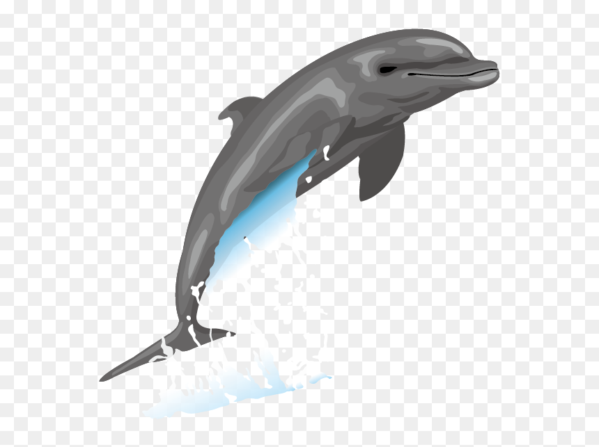 Dolphin Free Content Drawing Clip Art - Clip Art, HD Png Download - dolphins png