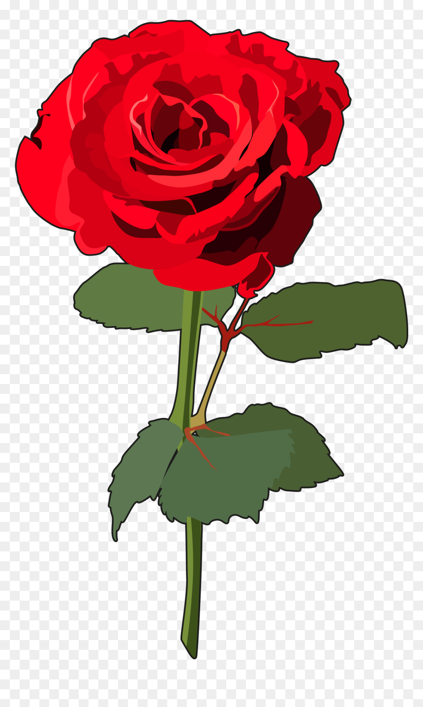 Rosa Con Tallo Png , Png Download - Rosa Png, Transparent Png - rosa png