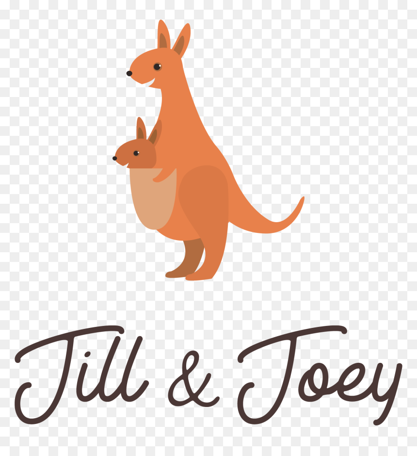 Transparent Kangaroo Clipart Png - Kangaroo, Png Download - kangaroo png