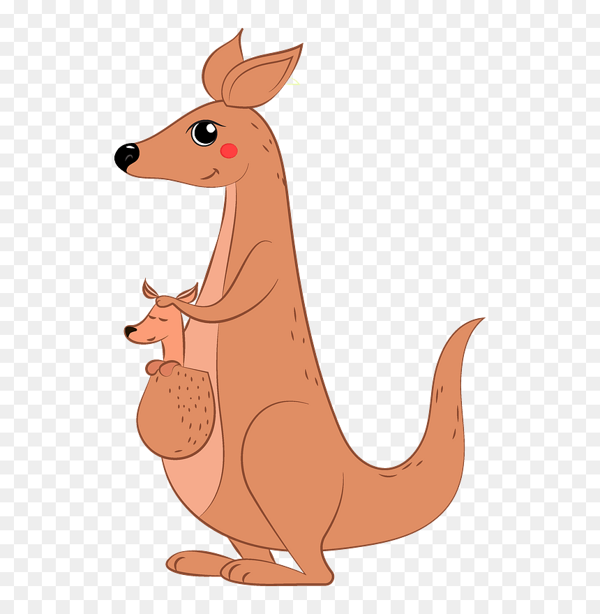 Kangaroo Clipart - Kangaroo, HD Png Download - kangaroo png