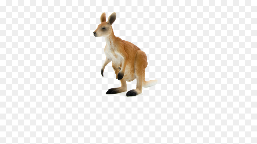 Kangaroo Png , Png Download - Imagenes Png De Animale, Transparent Png - kangaroo png