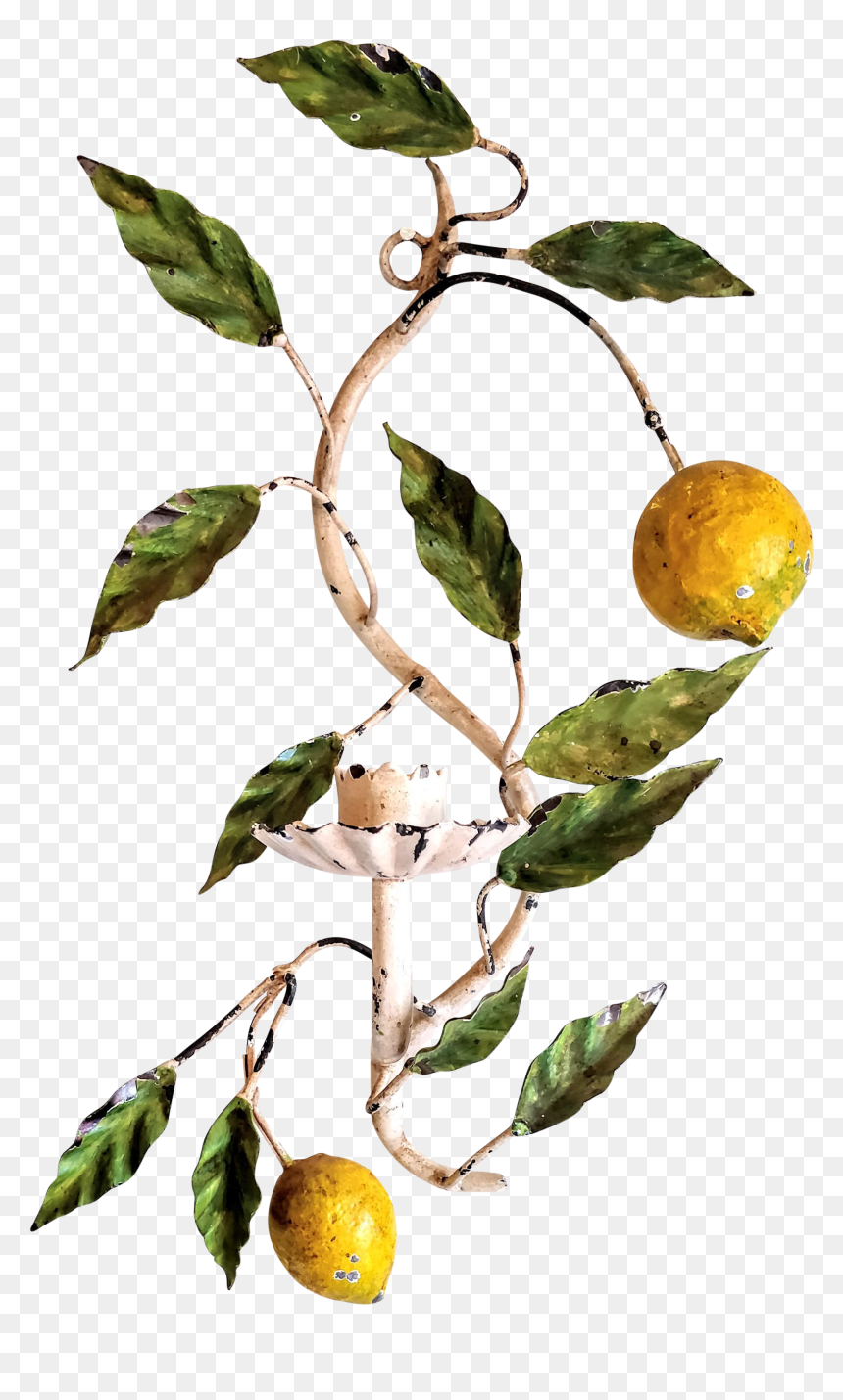 Vintage Italian Tole Lemon Candle Holder Sconce - Vintage Lemons Png, Transparent Png - lemons png