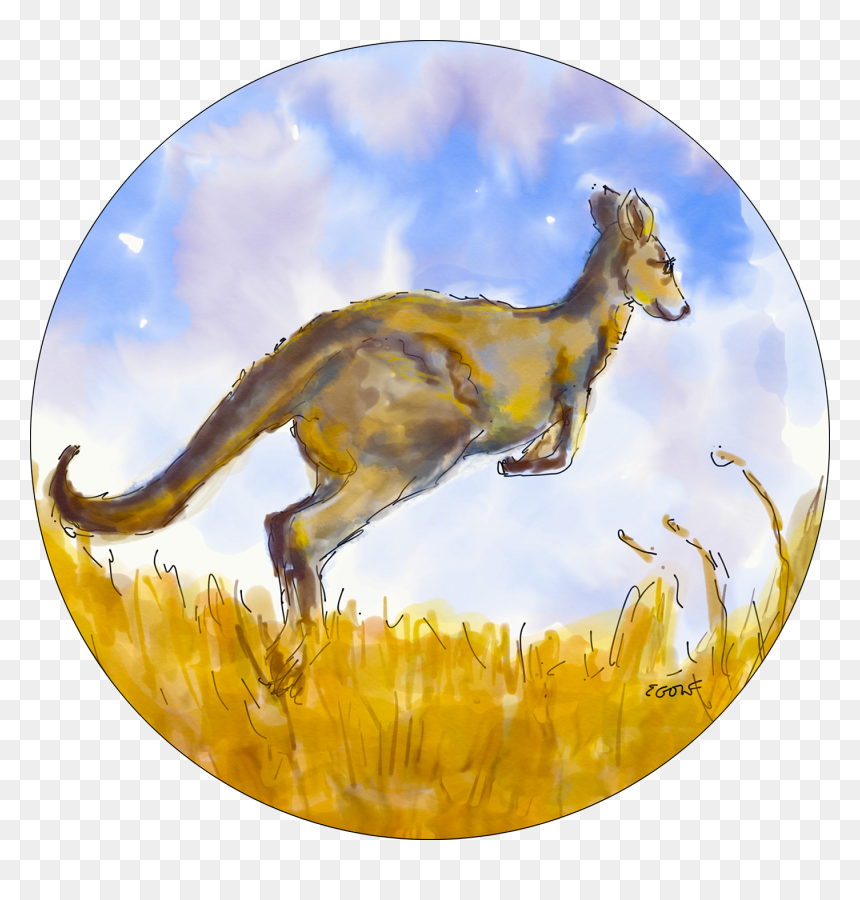 Kangaroo , Png Download - Kangaroo, Transparent Png - kangaroo png