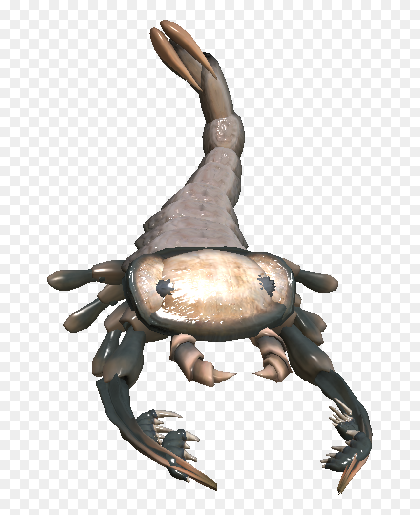 Cancer, HD Png Download - pjsalt png