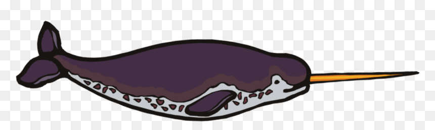 Narwhal , Png Download - Illustration, Transparent Png - narwhal png